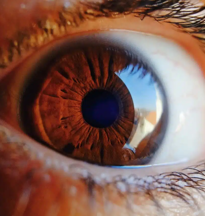 vision